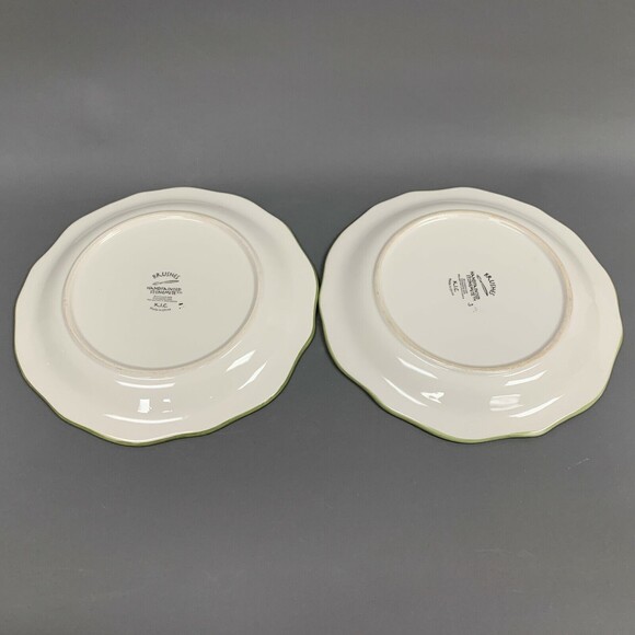 Brushes KIC Green Red Yellow Multi-color Dinner Plates Floral Lot of 2 - Picture 4 of 6